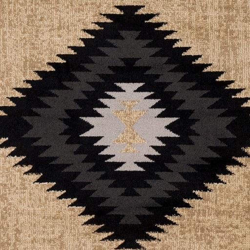 Surya Paramount PAR-1096 Black Rustic  Rug