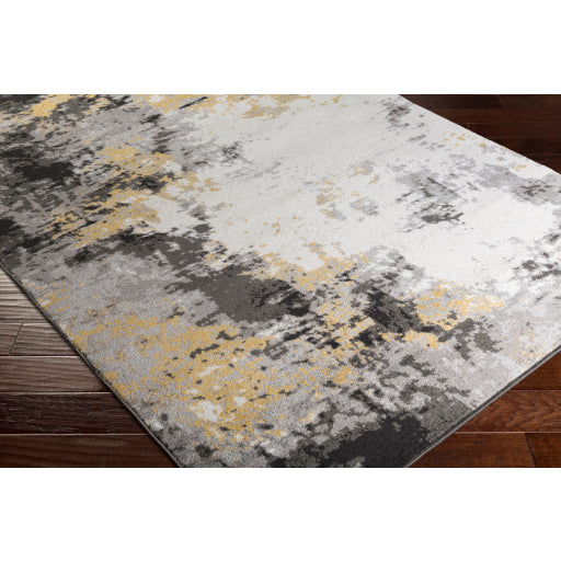 Surya Pepin PEI-1011 Charcoal Modern  Rug