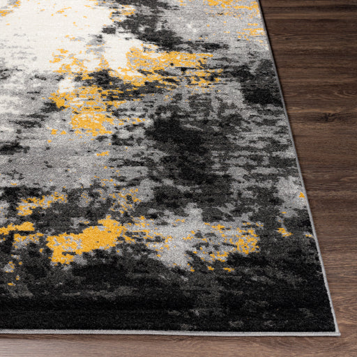Surya Pepin PEI-1011 Charcoal Modern  Rug