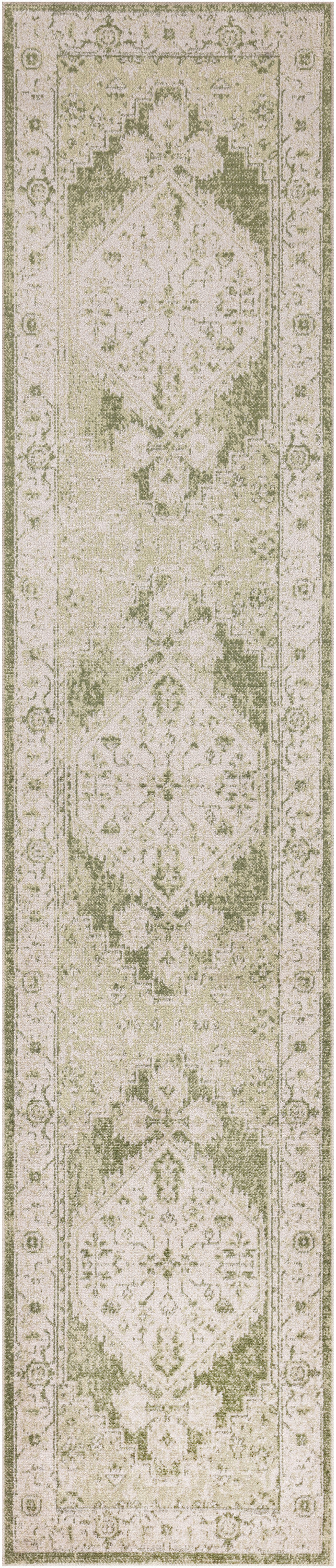 Nourison Home Astra Machine Washable ASW11 Ivory Green Traditional Power-loomed Rug