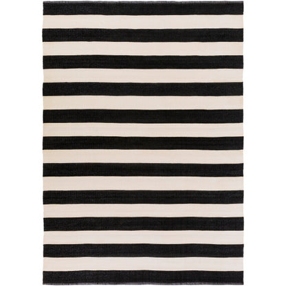 Surya Picnic PIC-4005 Black Modern  Rug