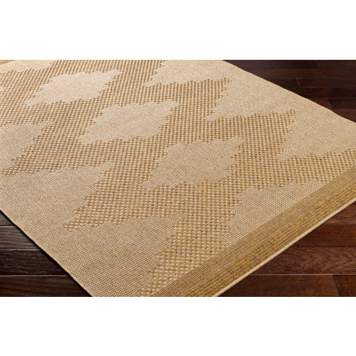 Surya Pismo Beach PMB-2301 Tan Modern  Rug