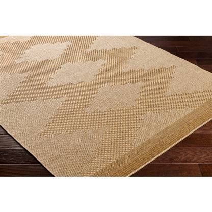 Surya Pismo Beach PMB-2301 Tan Modern  Rug