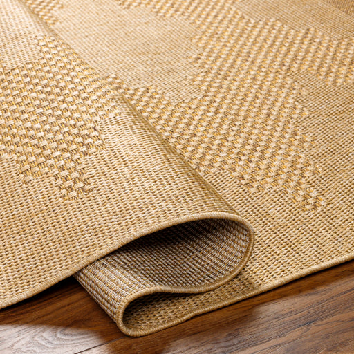 Surya Pismo Beach PMB-2301 Tan Modern  Rug