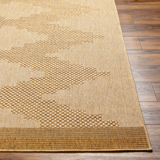 Surya Pismo Beach PMB-2301 Tan Modern  Rug