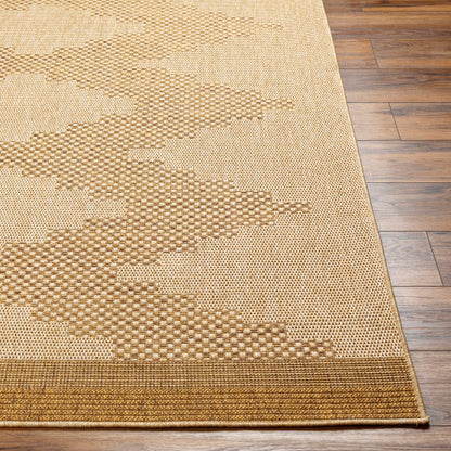 Surya Pismo Beach PMB-2301 Tan Modern  Rug