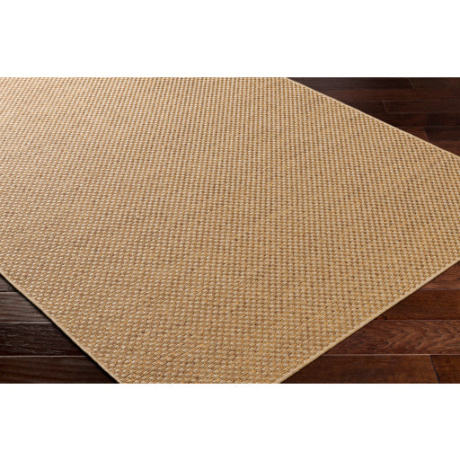 Surya Pismo Beach PMB-2308 Amber Modern  Rug