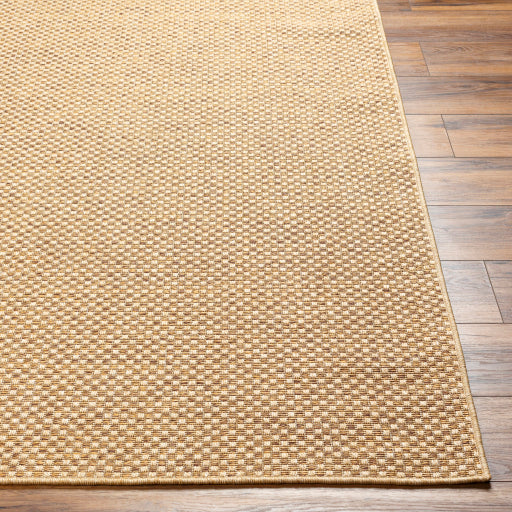 Surya Pismo Beach PMB-2308 Amber Modern  Rug