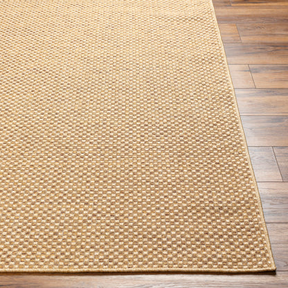 Surya Pismo Beach PMB-2308 Amber Modern  Rug
