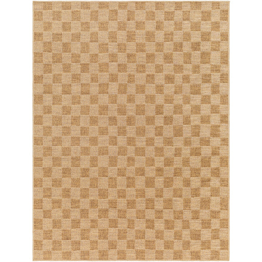 Surya Pismo Beach PMB-2310 Amber Modern  Rug