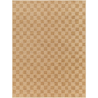 Surya Pismo Beach PMB-2310 Amber Modern  Rug
