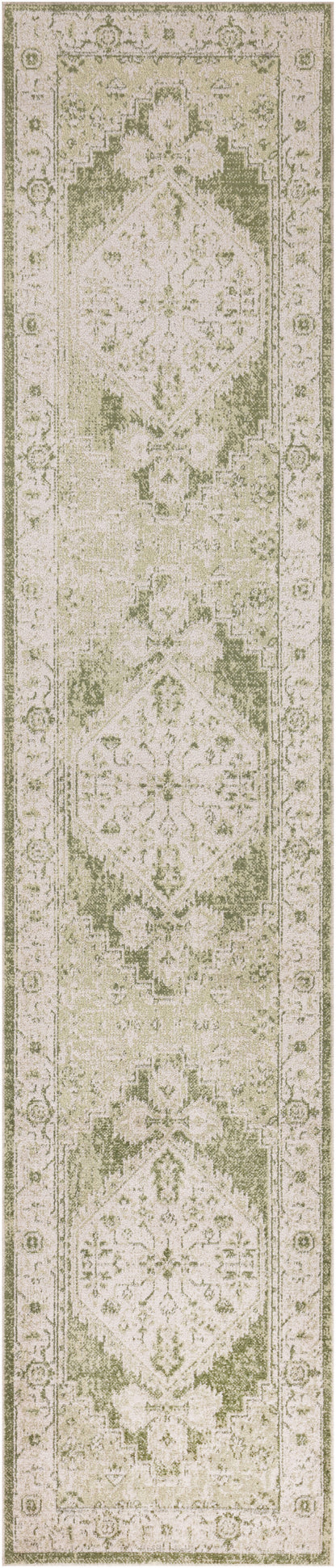 Nourison Home Astra Machine Washable ASW11 Ivory Green Traditional Power-loomed Rug