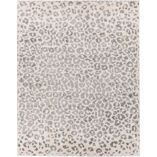 Surya Positano PSN-2305 Charcoal Modern  Rug