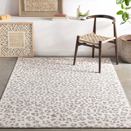 Surya Positano PSN-2305 Charcoal Modern  Rug