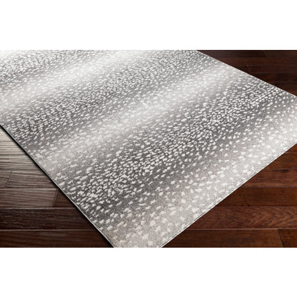 Surya Positano PSN-2313 Charcoal Modern  Rug