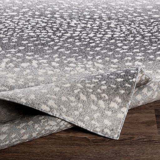 Surya Positano PSN-2313 Charcoal Modern  Rug