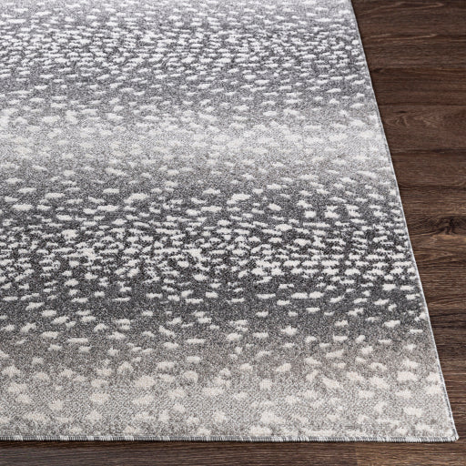 Surya Positano PSN-2313 Charcoal Modern  Rug