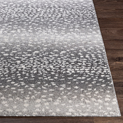 Surya Positano PSN-2313 Charcoal Modern  Rug