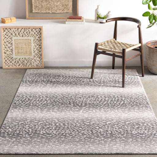 Surya Positano PSN-2313 Charcoal Modern  Rug