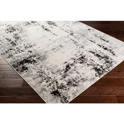 Surya Pisa PSS-2303 Medium Gray Modern  Rug