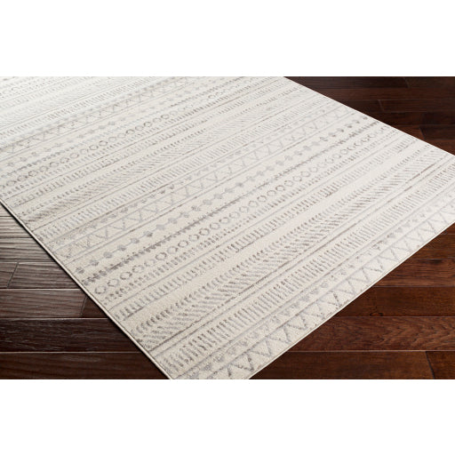 Surya Pisa PSS-2304 Medium Gray Global  Rug