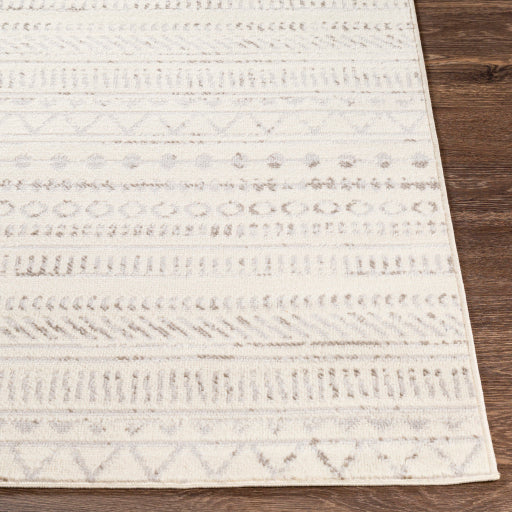 Surya Pisa PSS-2304 Medium Gray Global  Rug