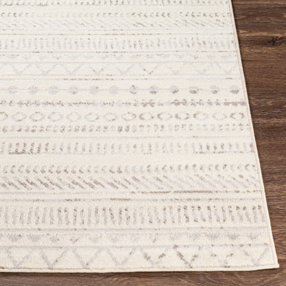 Surya Pisa PSS-2304 Medium Gray Global  Rug