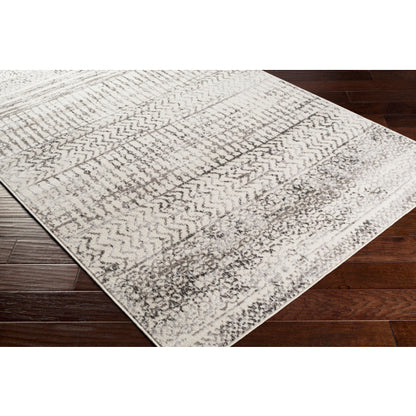 Surya Pisa PSS-2310 Charcoal Global  Rug