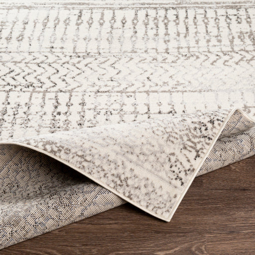 Surya Pisa PSS-2310 Charcoal Global  Rug