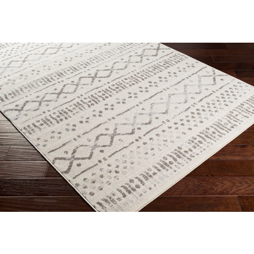 Surya Pisa PSS-2311 Medium Gray Global  Rug