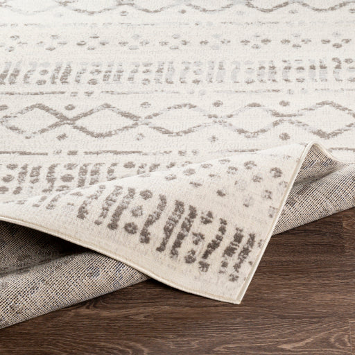 Surya Pisa PSS-2311 Medium Gray Global  Rug