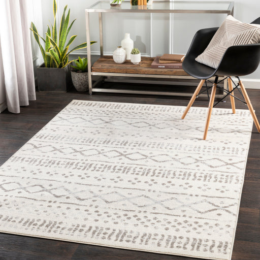 Surya Pisa PSS-2311 Medium Gray Global  Rug