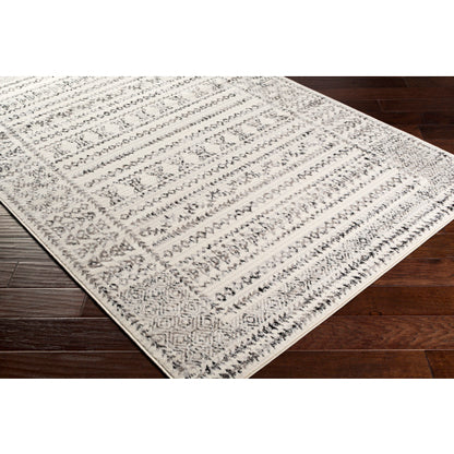 Surya Pisa PSS-2313 Charcoal Global  Rug