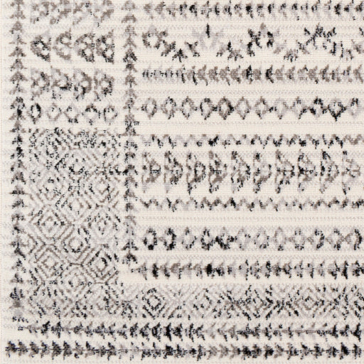 Surya Pisa PSS-2313 Charcoal Global  Rug