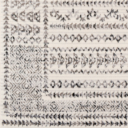 Surya Pisa PSS-2313 Charcoal Global  Rug