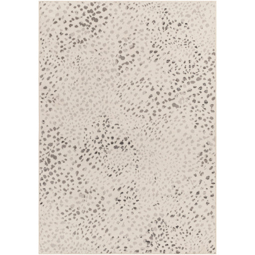 Surya Pisa PSS-2348 Light Gray Modern  Rug