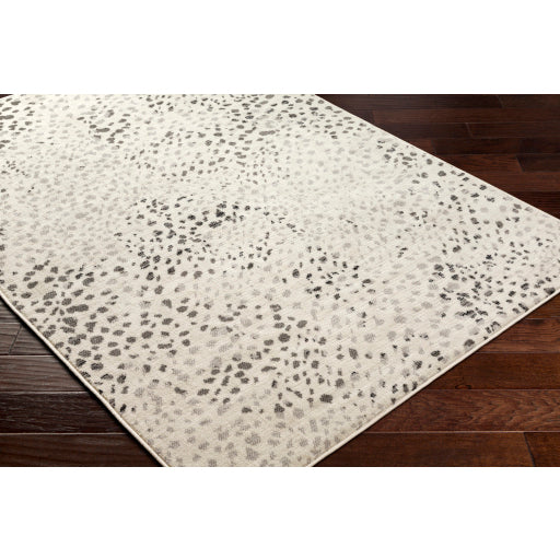 Surya Pisa PSS-2348 Light Gray Modern  Rug