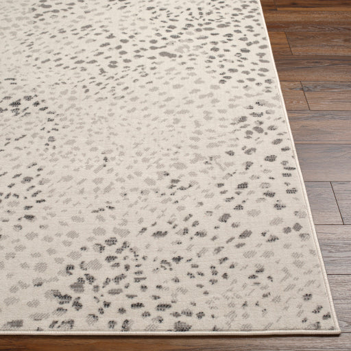 Surya Pisa PSS-2348 Light Gray Modern  Rug
