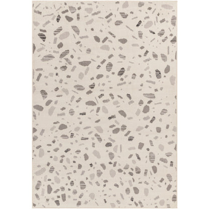 Surya Pisa PSS-2349 Light Gray Modern  Rug