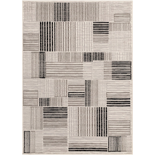 Surya Pisa PSS-2351 Light Gray Modern  Rug