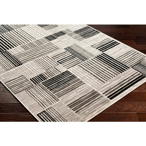 Surya Pisa PSS-2351 Light Gray Modern  Rug