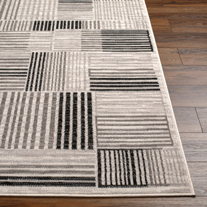 Surya Pisa PSS-2351 Light Gray Modern  Rug
