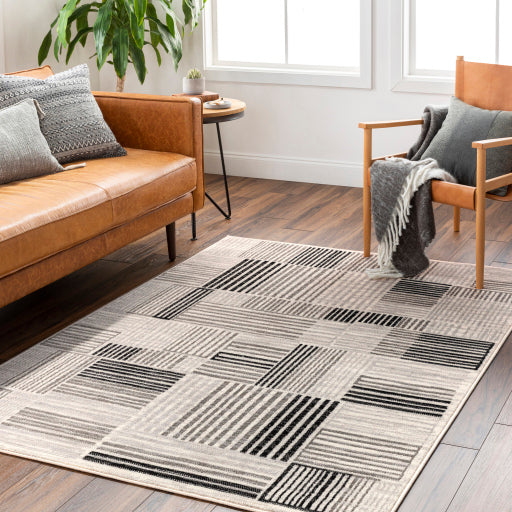 Surya Pisa PSS-2351 Light Gray Modern  Rug