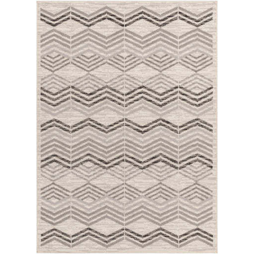 Surya Pisa PSS-2352 Light Gray Modern  Rug
