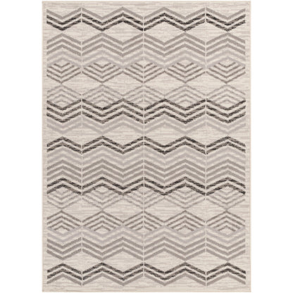 Surya Pisa PSS-2352 Light Gray Modern  Rug