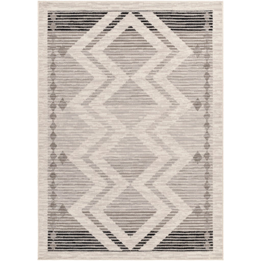 Surya Pisa PSS-2353 Light Gray Global  Rug