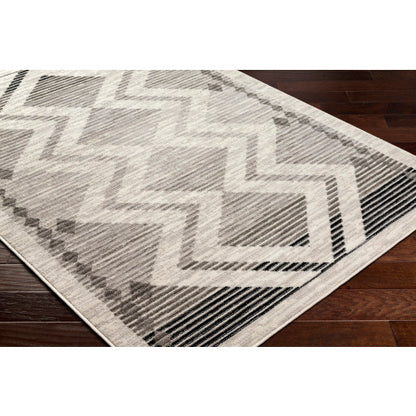 Surya Pisa PSS-2353 Light Gray Global  Rug