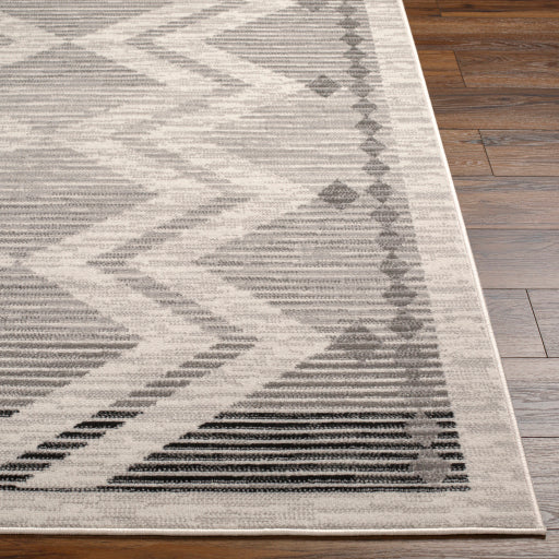 Surya Pisa PSS-2353 Light Gray Global  Rug