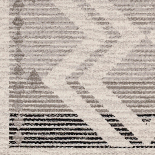 Surya Pisa PSS-2353 Light Gray Global  Rug