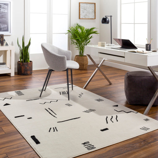 Surya Pisa PSS-2356 Light Gray Modern  Rug